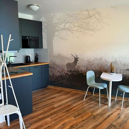 Horsky Apartman Klinovecke Louky 120-4 Loučná pod Klínovcem Buitenkant foto